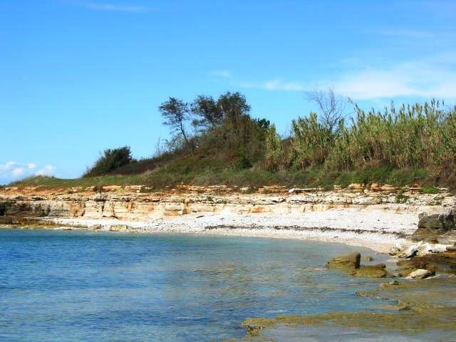 Janja Apartment Novigrad Istria Cameră foto